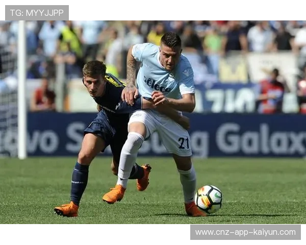 都灵米兰科维奇–萨维奇封堵点清晰